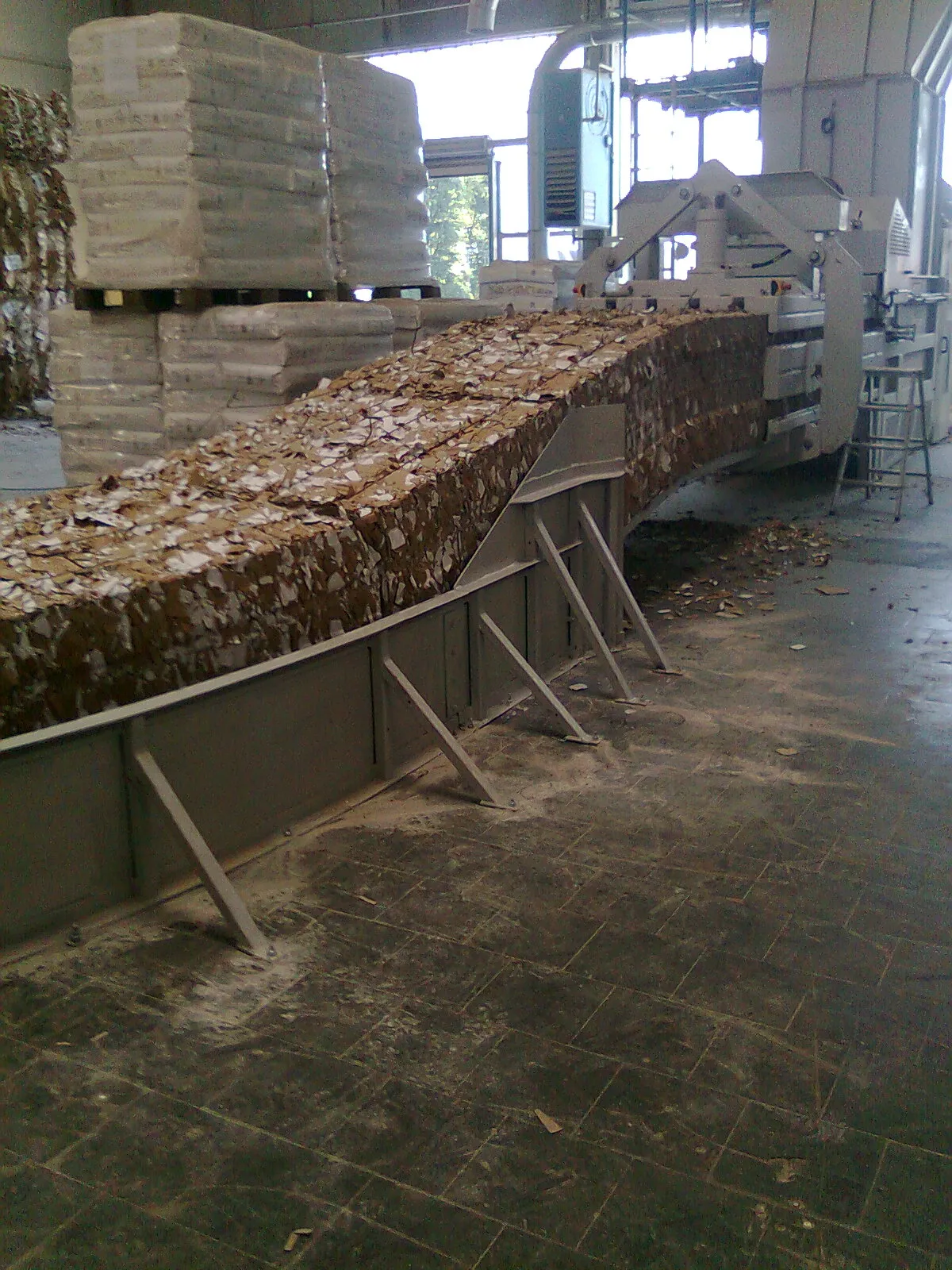 Privatgarten · Parkanlage Bild 4